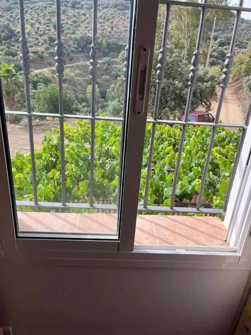 Terraza de Finca rústica de alquiler en Comares con Amueblado