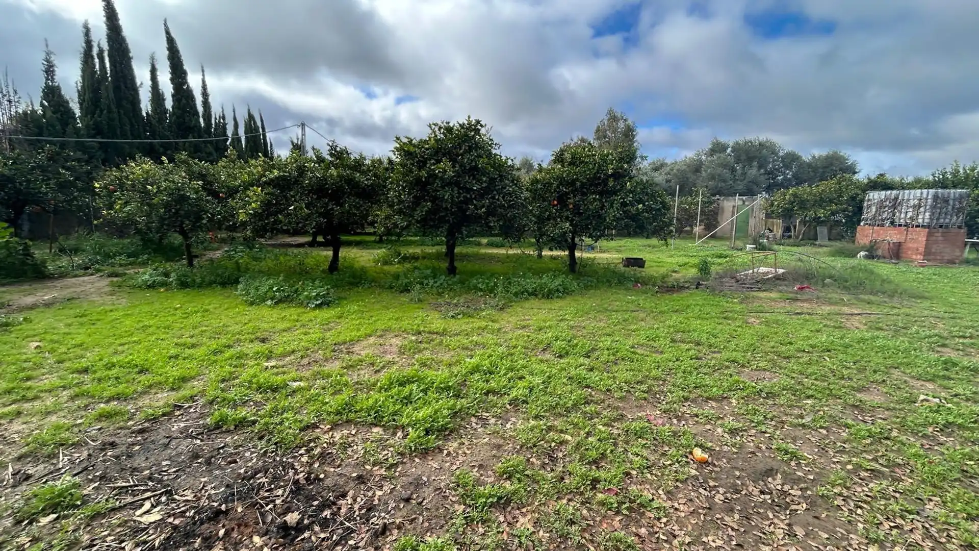 Country homes for sale in Utrera