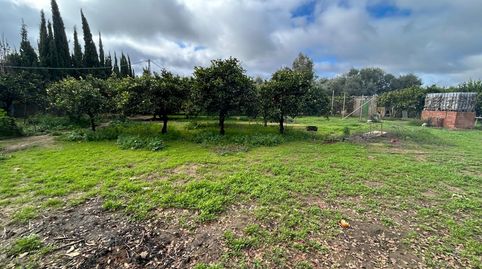 Photo 3 of Country homes for sale in Pedanías Norte, Utrera