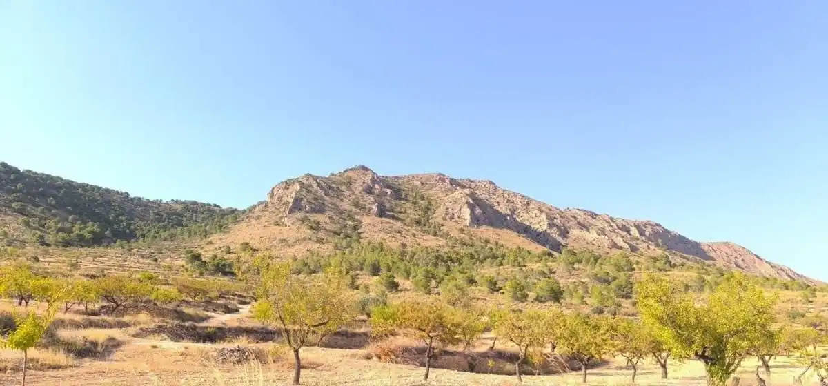 Residencial en venda en Algueña, Alicante