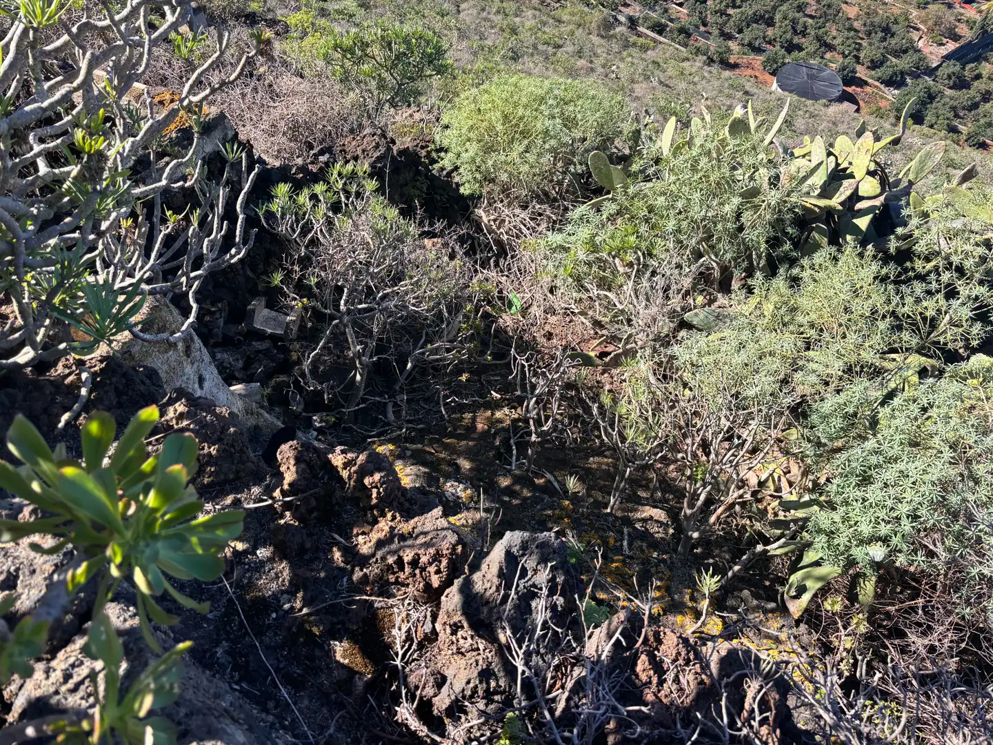Terreno rustico in vendita a Camino de San Diego, imagen 12