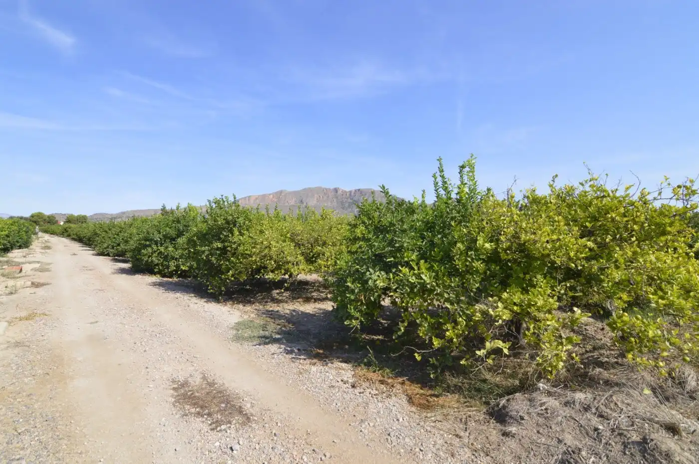 Residencial en venta en N/A, -1, Santomera