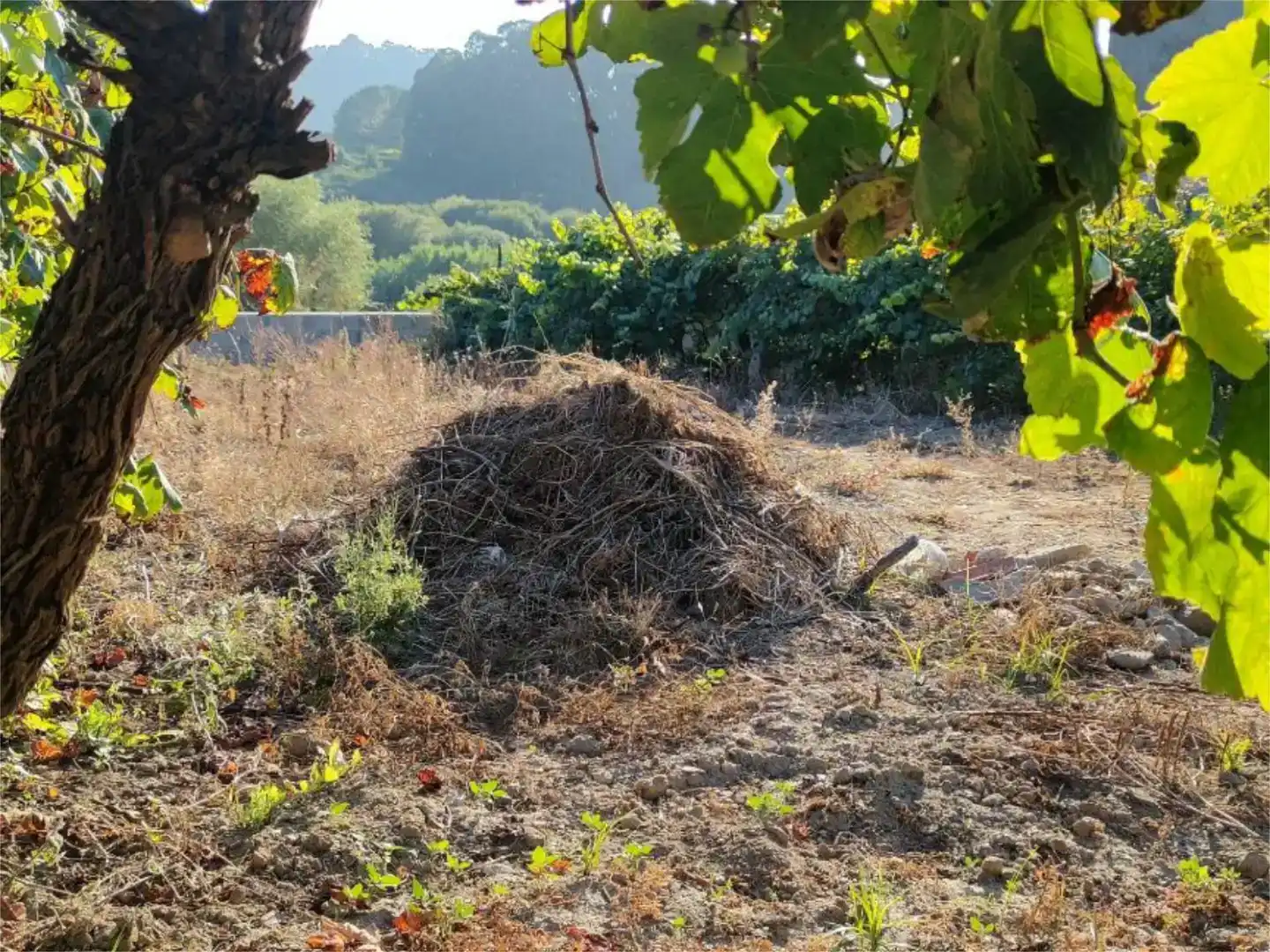 Pis en venda en Marín amb Jardí privat