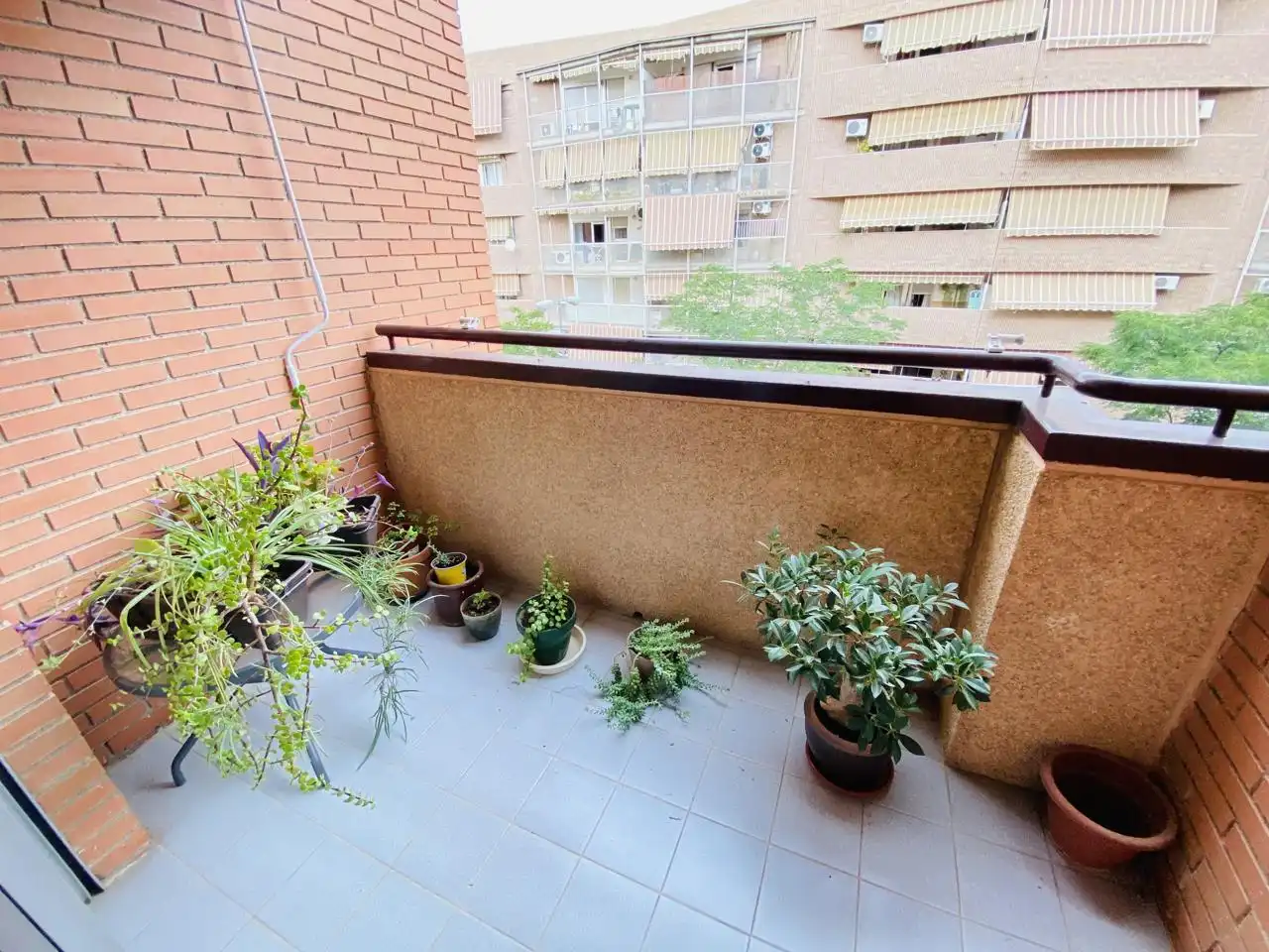 Piso con terraza en venta en Maria Teresa De Léon, imagen 8