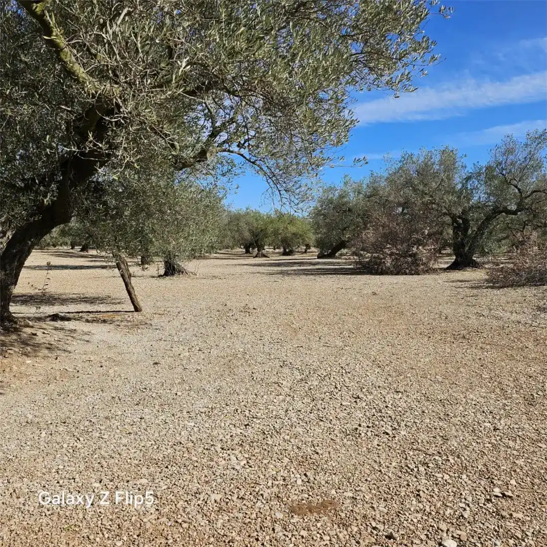 Grundstücke zum Verkauf in La Galera , Tarragona