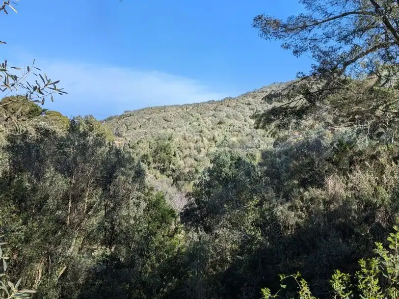 Terreny residencial en venda a carretera de la Platja del Racó 20, imagen 8