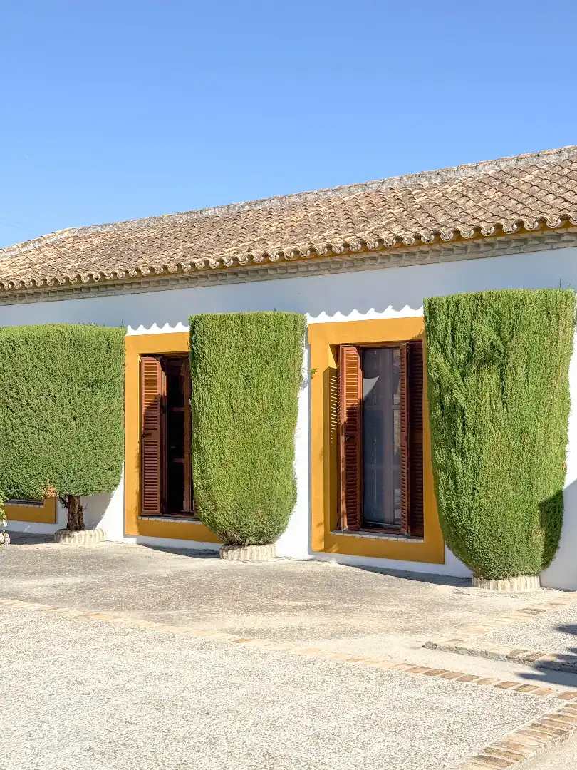 Exterior view of Houses for sale in Morón de la Frontera  with Air Conditioner, Private garden and Swimming Pool