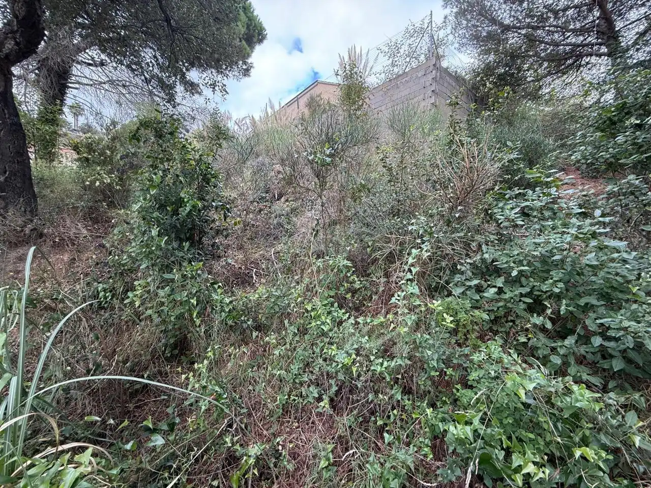 Terrenos y solares en venta en Lloret Residencial - Montlloret, imagen 7