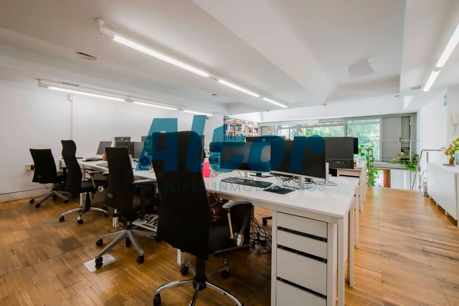 Office for sale in DEL MARQUES DE LEMA, Vallehermoso