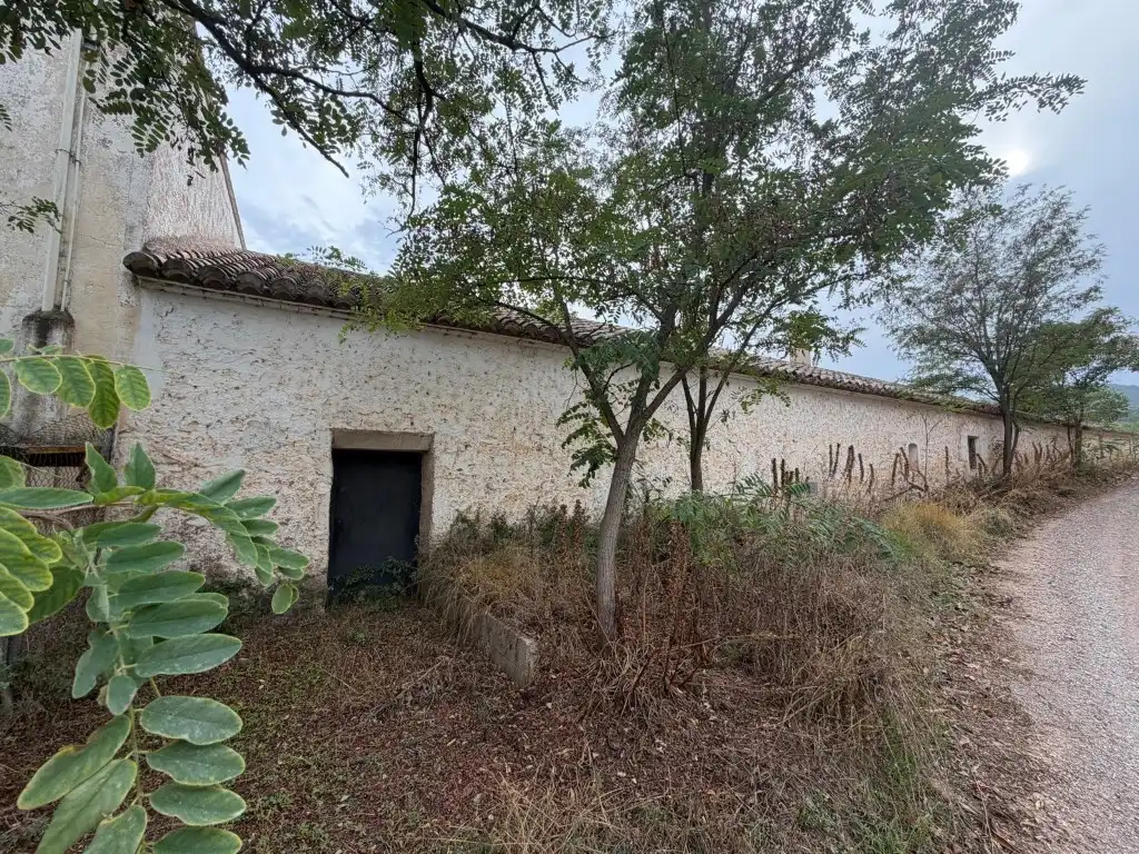 Casa rústica amb terrassa en venda a Altura, imagen 71