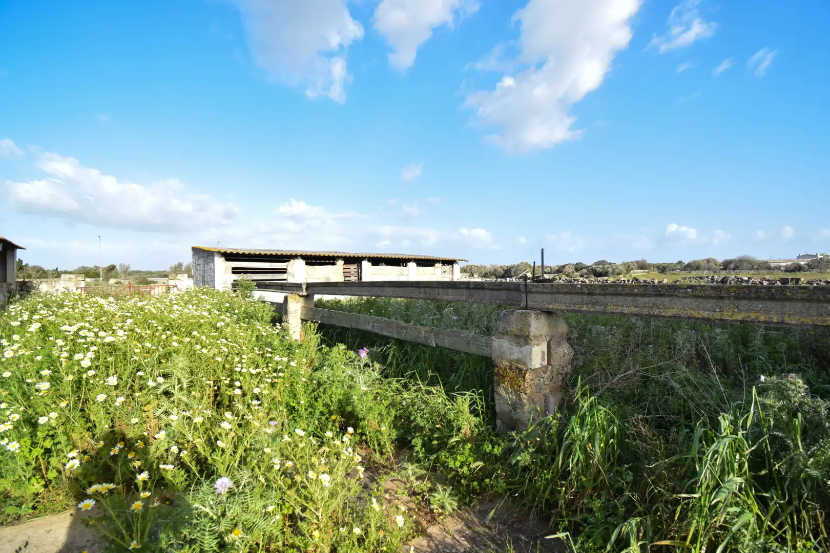 Terreny industrial en venda en Ciutadella de Menorca