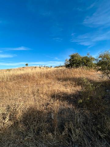 Terreno en Venta en Travesia de Rosales en La Montaña - El Cortijo