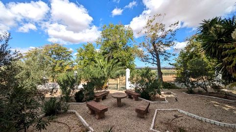 Foto 4 de Finca rústica en venta en Carretera Jabalquinto, Zona Hospital, Linares