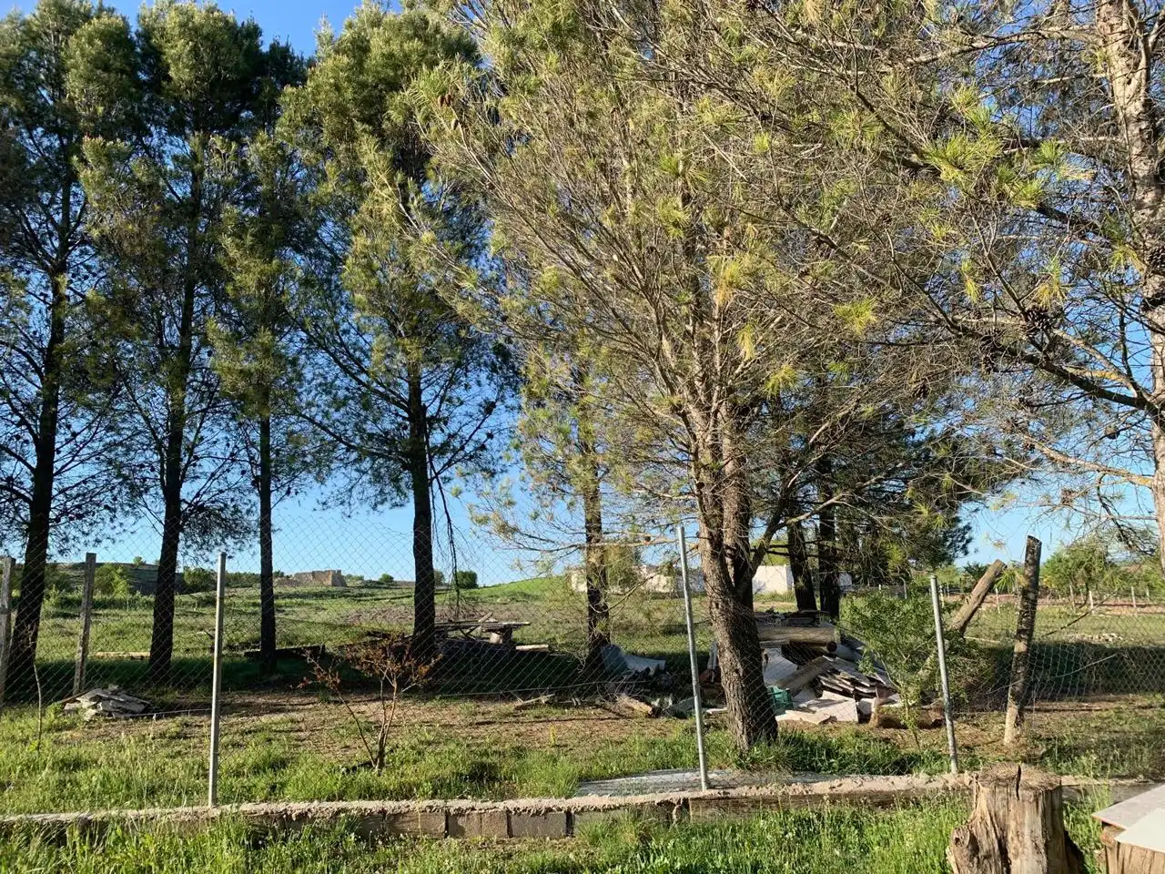 Terreni e lotti in vendita a Carrascosa, imagen 10