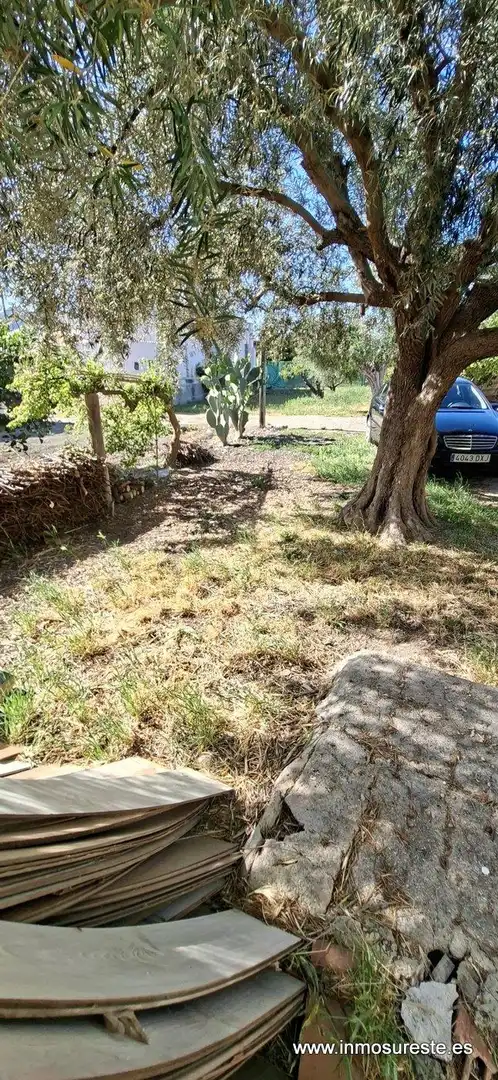 Finca rústica en venta en Orihuela