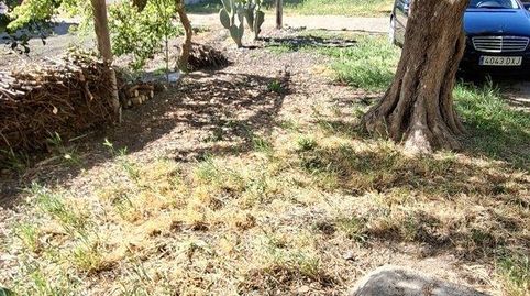 Foto 2 de Finca rústica en venta en Orihuela ciudad, Orihuela