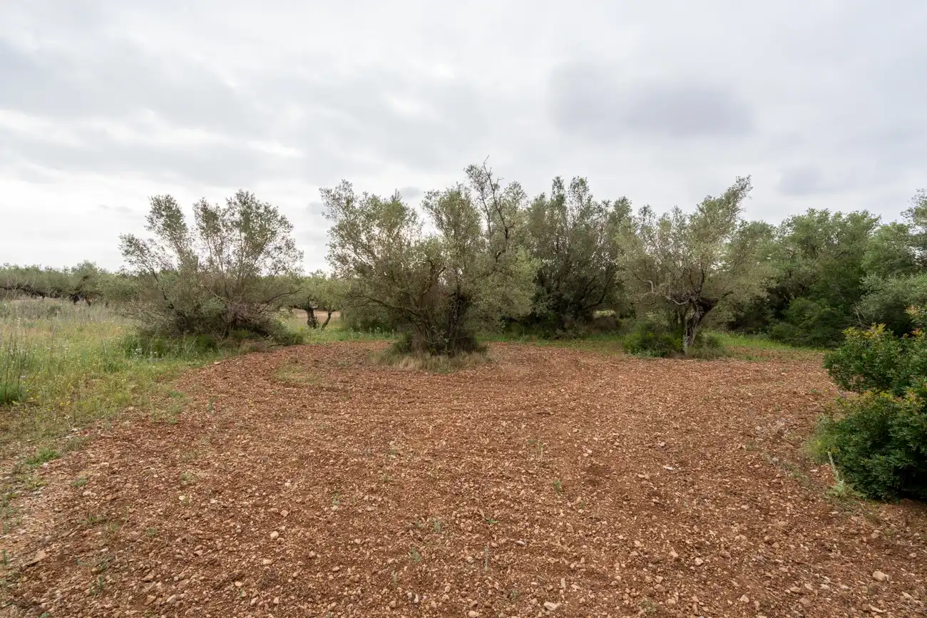 Terreno en venta en Mas de Barberans