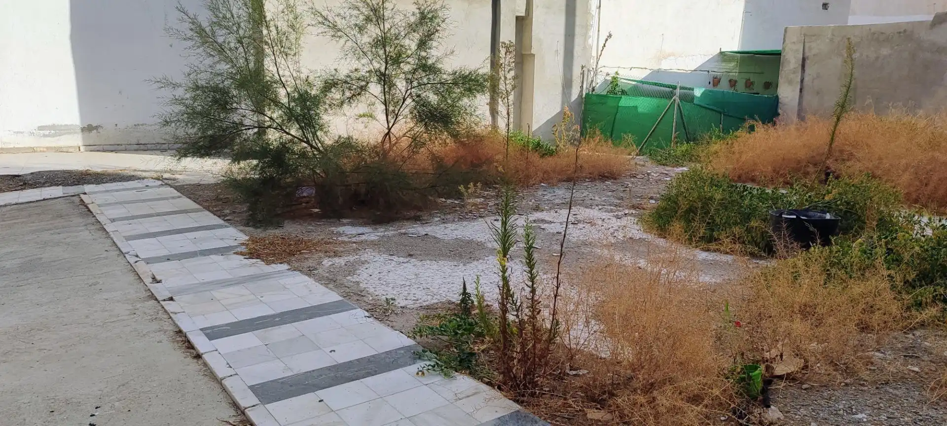Terrenos y solares en venta en Olula del Río, imagen 2
