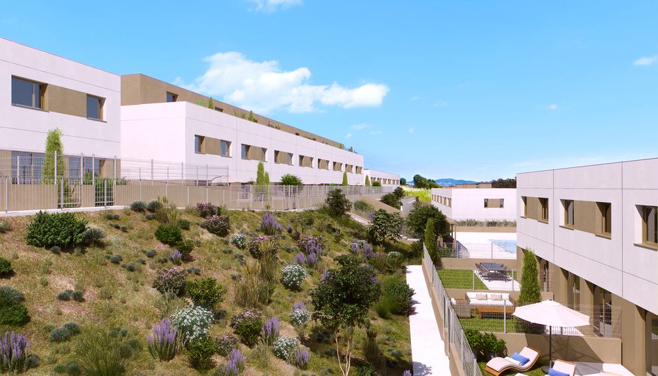 Photo 0 of Promotion ANUBIA POLINYA