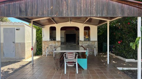 Foto 3 de Finca rústica en venda a Corinto - Almarda, Sagunto / Sagunt