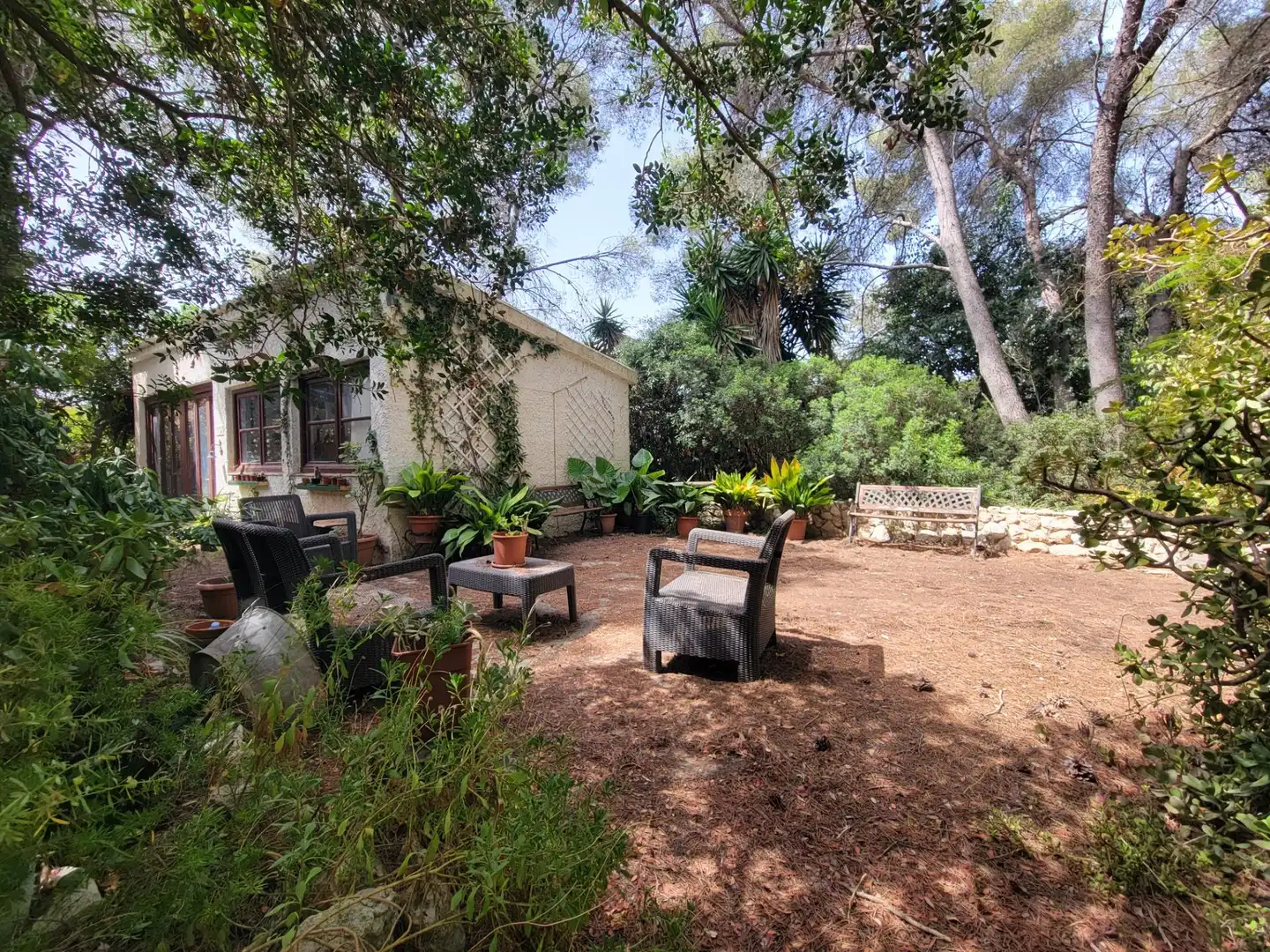 Garden of Residential for sale in El Catllar 
