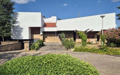 Exterior view of House or chalet for sale in Salamanca Capital  with Terrace