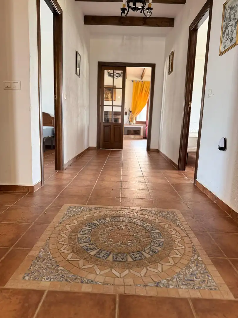 Finca rústica en venta en Centro