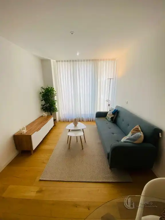 Sala de estar de Piso de alquiler en Madrid con Aire acondicionado, Calefacción y Jardín privado