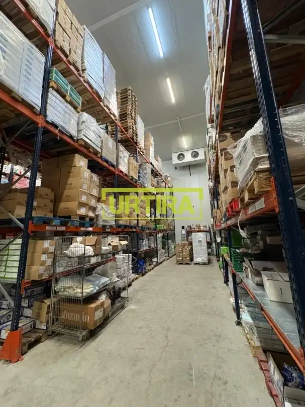 Nau industrial de lloguer a Arañaburu Kalea 6, imagen 13
