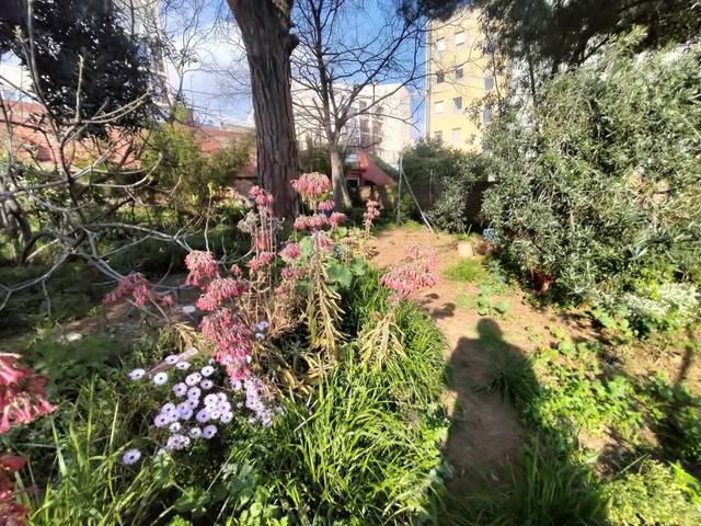 Casa-chalet en Venta en Calle Ponent en Sant Pere