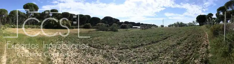 Finca rústica en venda en Almonte amb Terrassa i Moblat