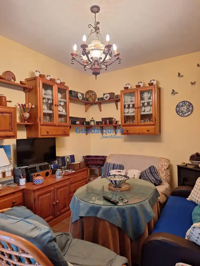 Sala d'estar de Casa o xalet en venda en Brenes amb Aire condicionat i Terrassa