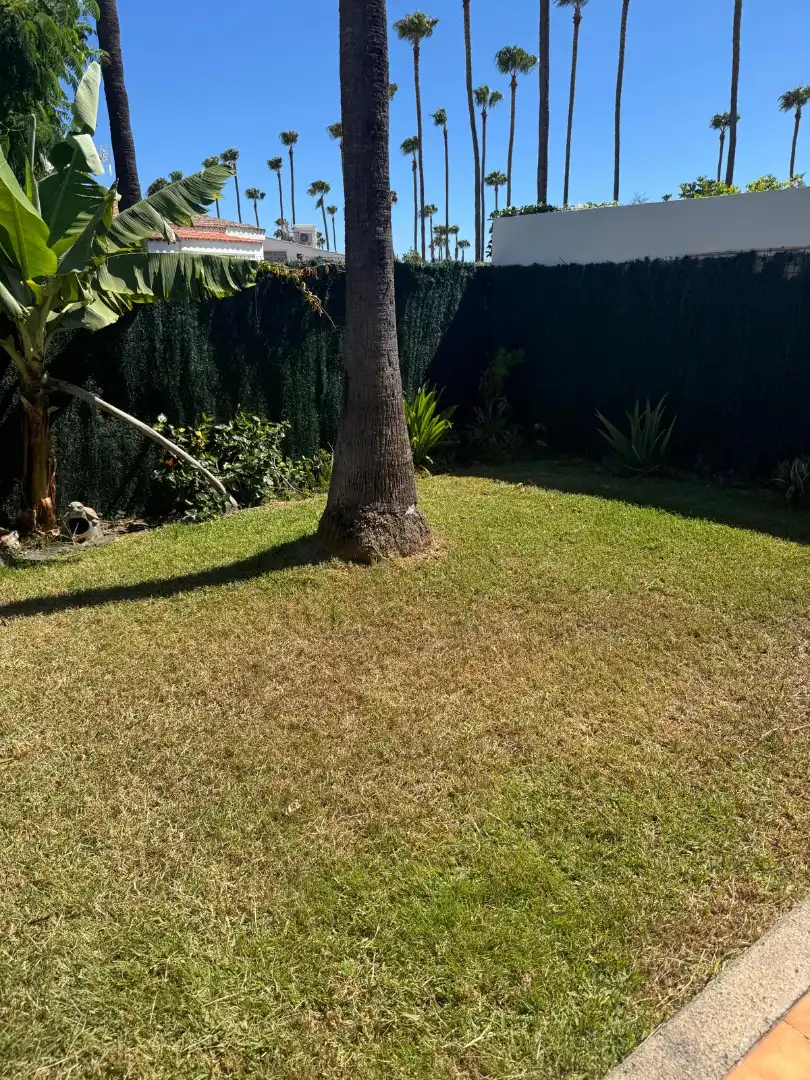 Bungalow avec piscine à louer à Avenida Touroperador Kuoni, imagen 9