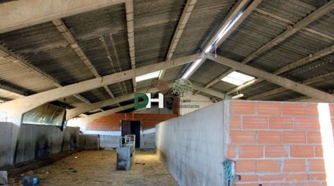 CáceresTerreno, imagen 2
