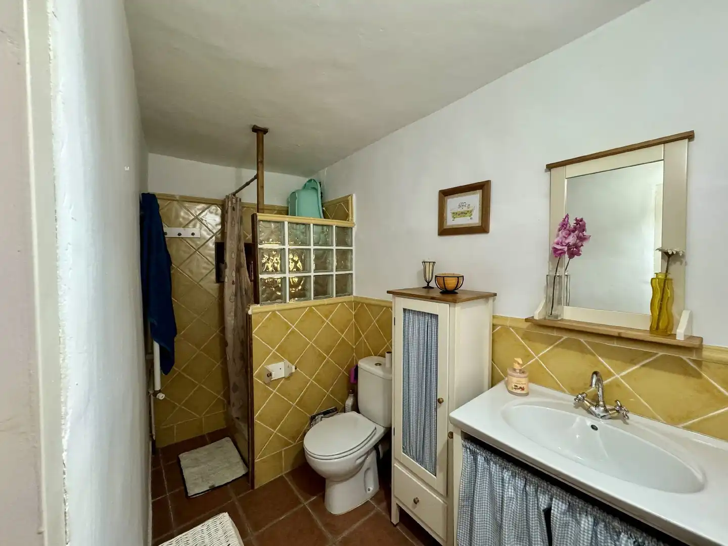 Bathroom of Country homes for sale in Lascuarre  with Heating and Storage room