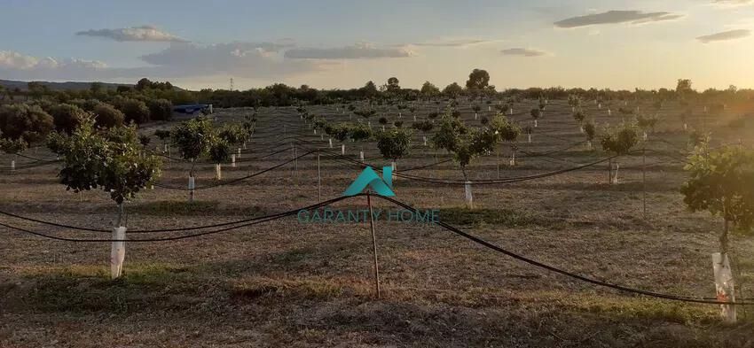 Residential zum verkauf in Les Borges Blanques