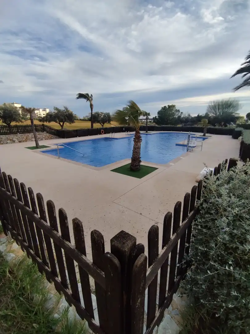Swimming pool of Apartments for rent in Murcia  with Air Conditioner, Terrace and Furnished