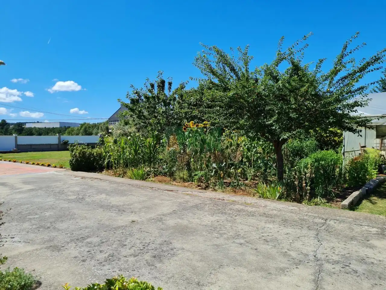 Casa con jardín en venta en O Pereiro de Aguiar, imagen 17
