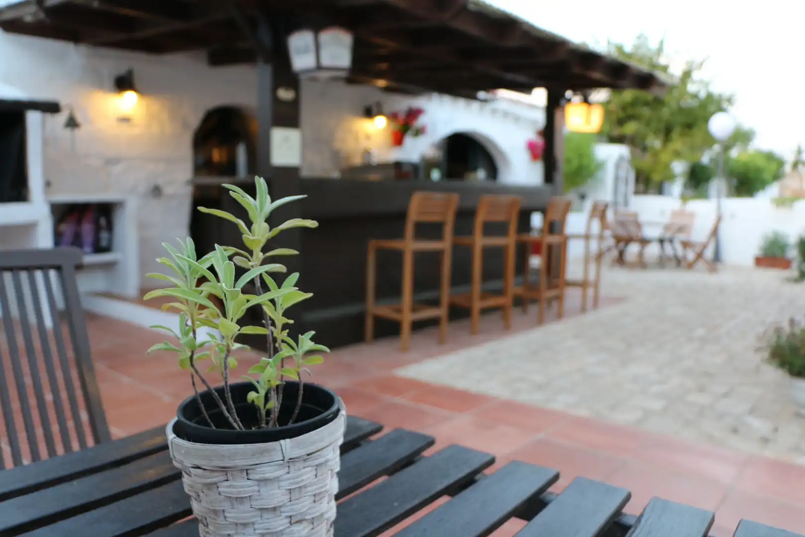 Finca rústica en venta en Sant Climent - Es Canutells