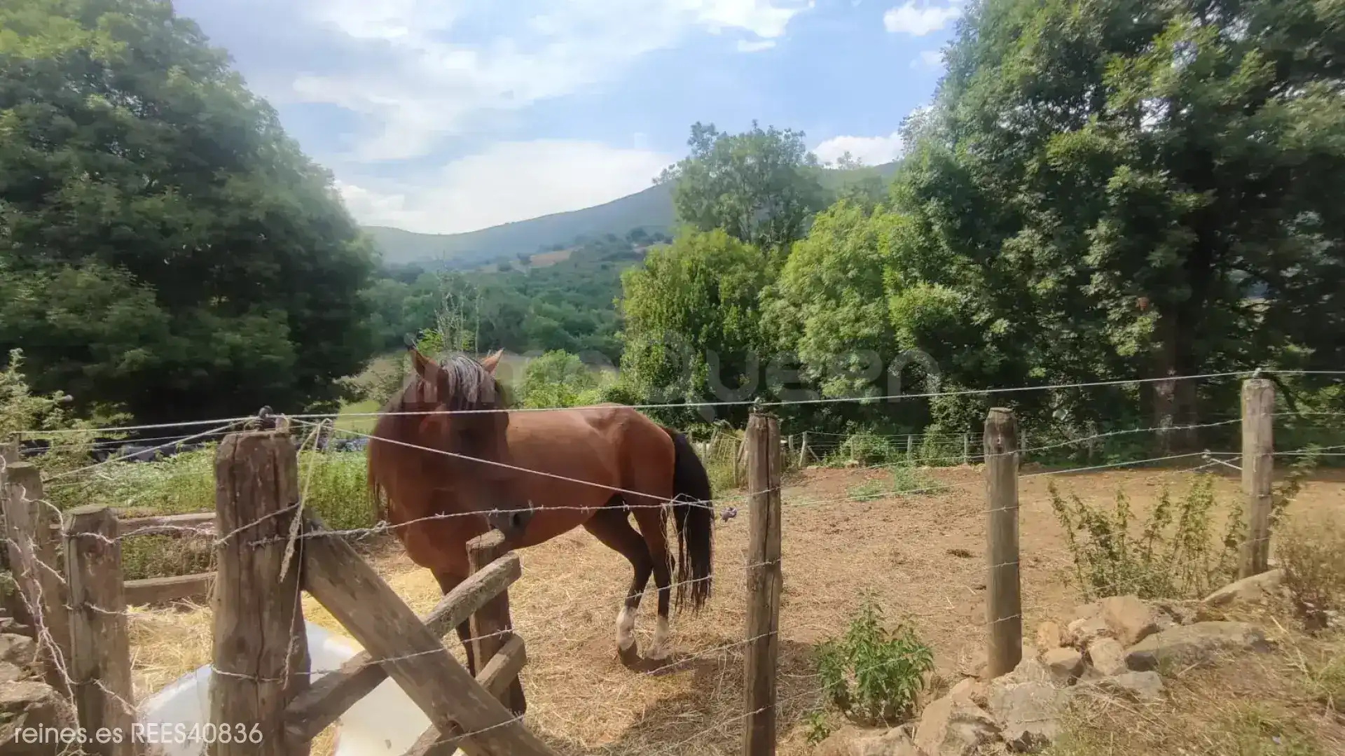 Casa o xalet en venda en Grado amb Calefacció, Jardí privat i Terrassa