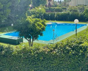 Swimming pool of Flat to rent in Roquetas de Mar  with Air Conditioner, Terrace and Swimming Pool