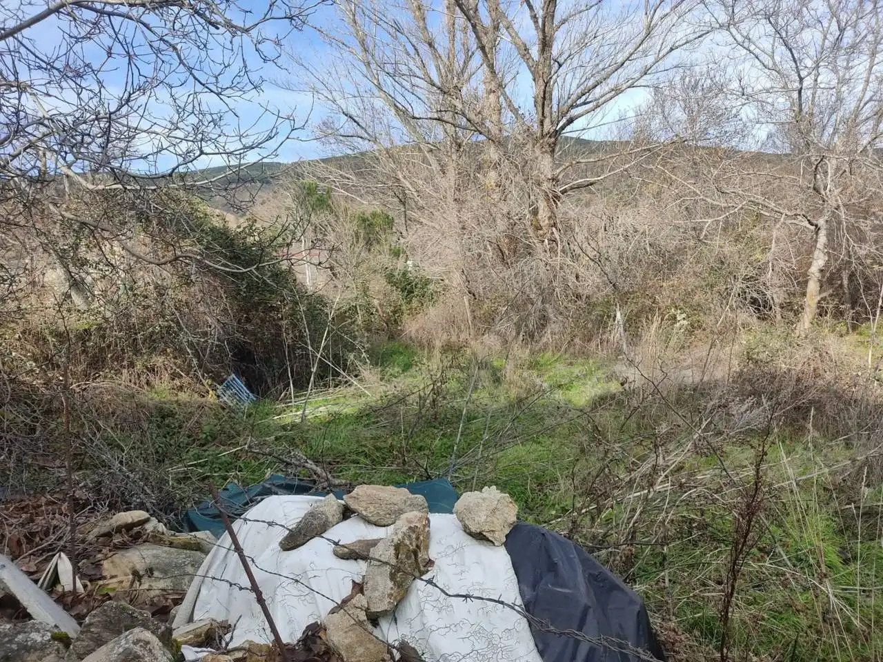 Rural land for sale in Calle Huertos 5, imagen 5