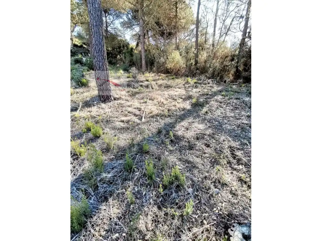 Terreno residencial en venta en Carrer Infants 23, imagen 5
