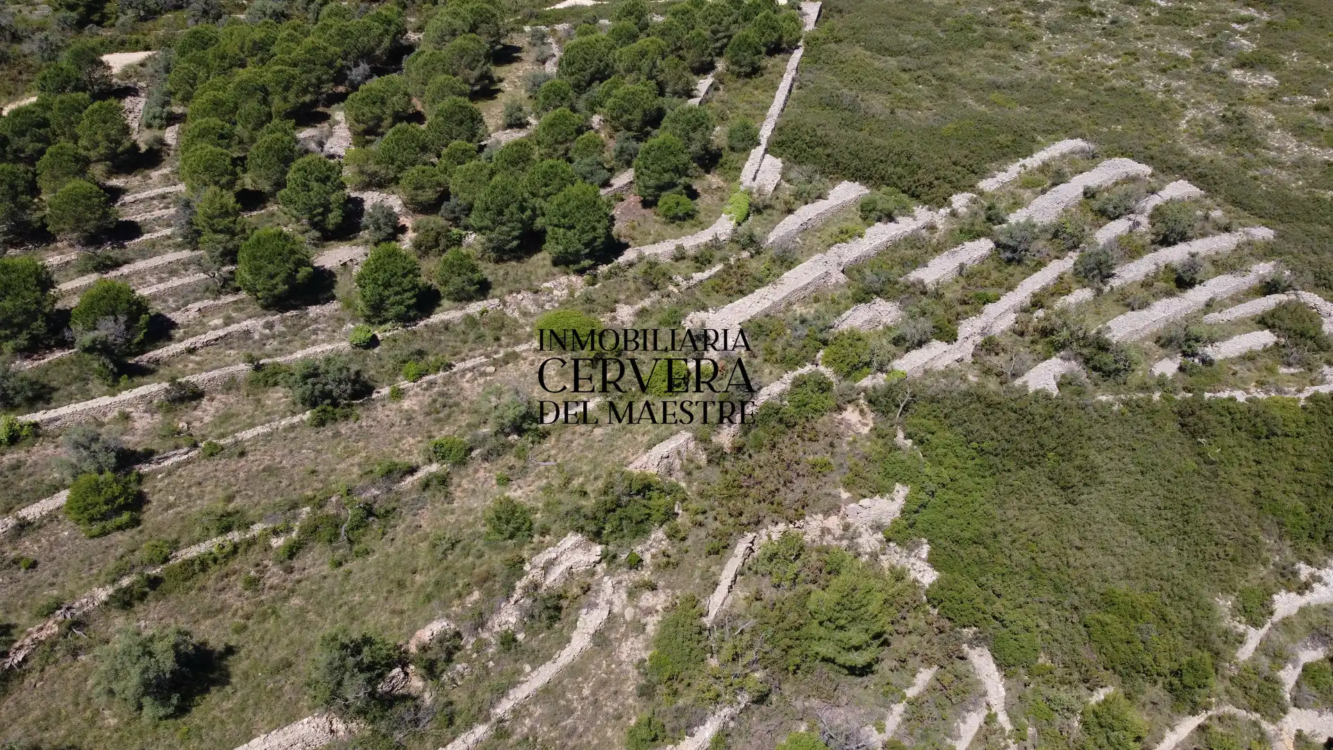 Terreny rústic en venda a Cervera del Maestre, imagen 24