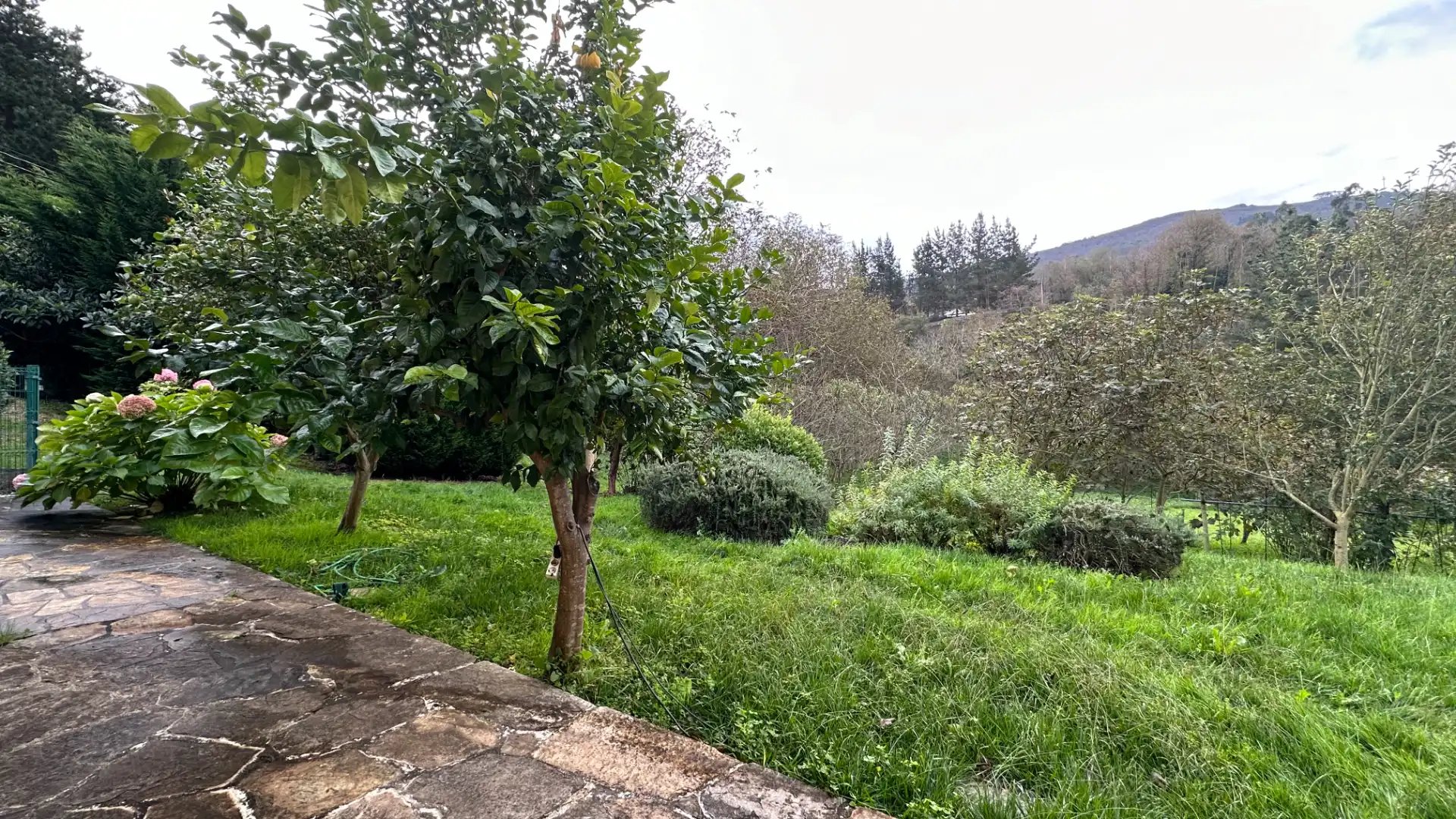 Building for sale in Mondoñedo