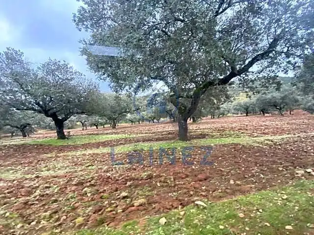 Residential land for sale in Fuente Obejuna, imagen 9