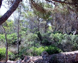 Residencial en venda en Ciutadella de Menorca