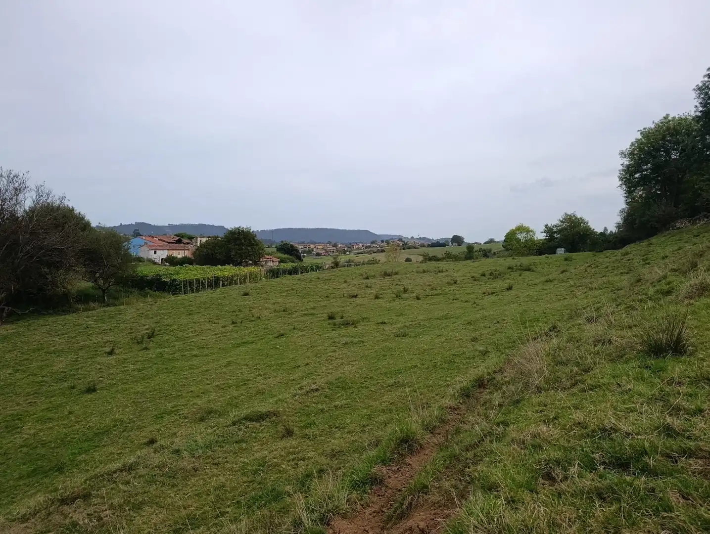 Rustikales Grundstück zum Verkauf in Carretera Piñera (Noriega) 0, imagen 36
