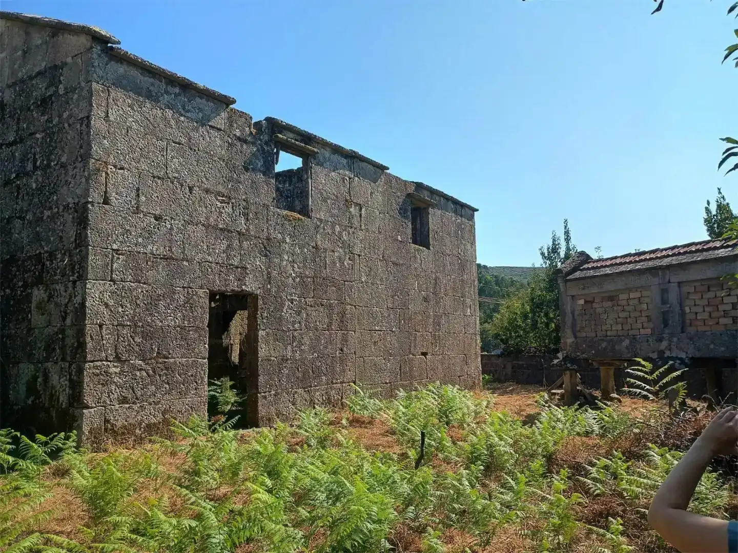 Vista exterior de Finca rústica en venda en Fornelos de Montes