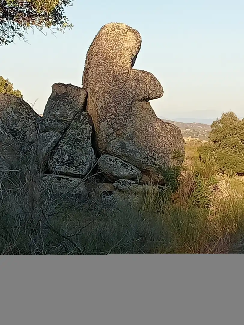 Terreni e lotti in vendita a EX-207, imagen 16
